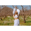 Bardot white crop top 