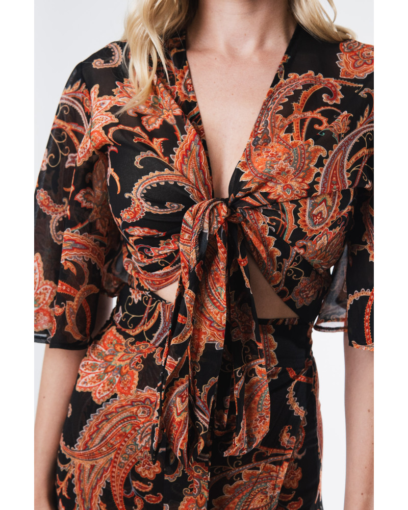 Daphne top 